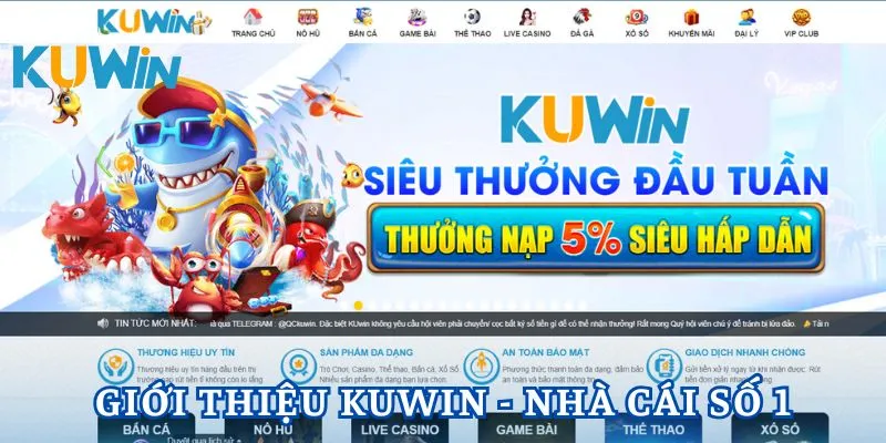 Giới thiệu Kuwin - Nhà cái hàng đầu số #1