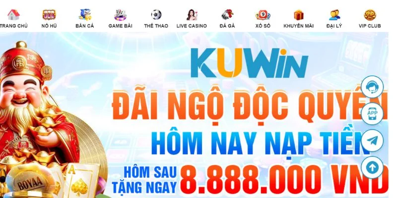 Sơ lược tổng quan về Kuwin