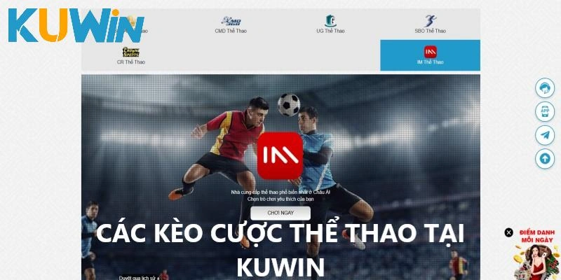 Các loại hình cá cược thể thao đa dạng tại KUWIN